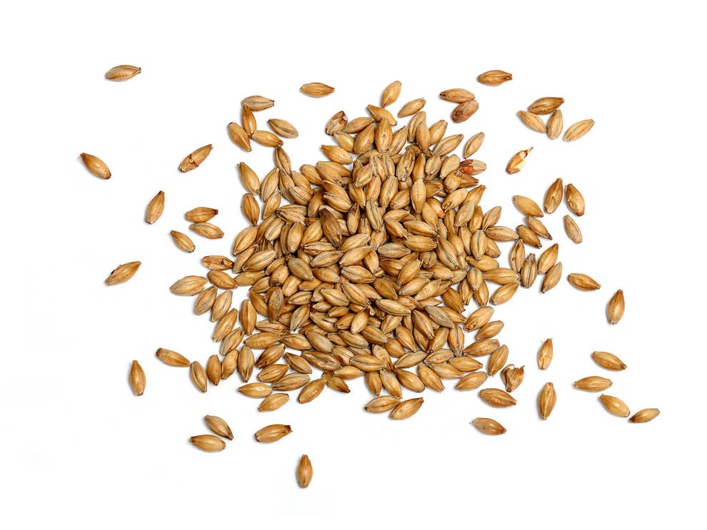 barley-ebm-manufacturing-equipment-for-grain